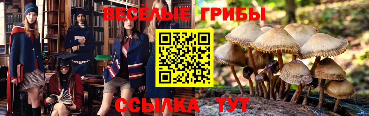 Псилоцибиновые грибы ЛСД  Псилоцибиновые грибы Psilocybine cubensis  Верхняя Салда  Вход с VPN 